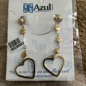 Azul jewelry Stainless Steel Women's Earrings NWT